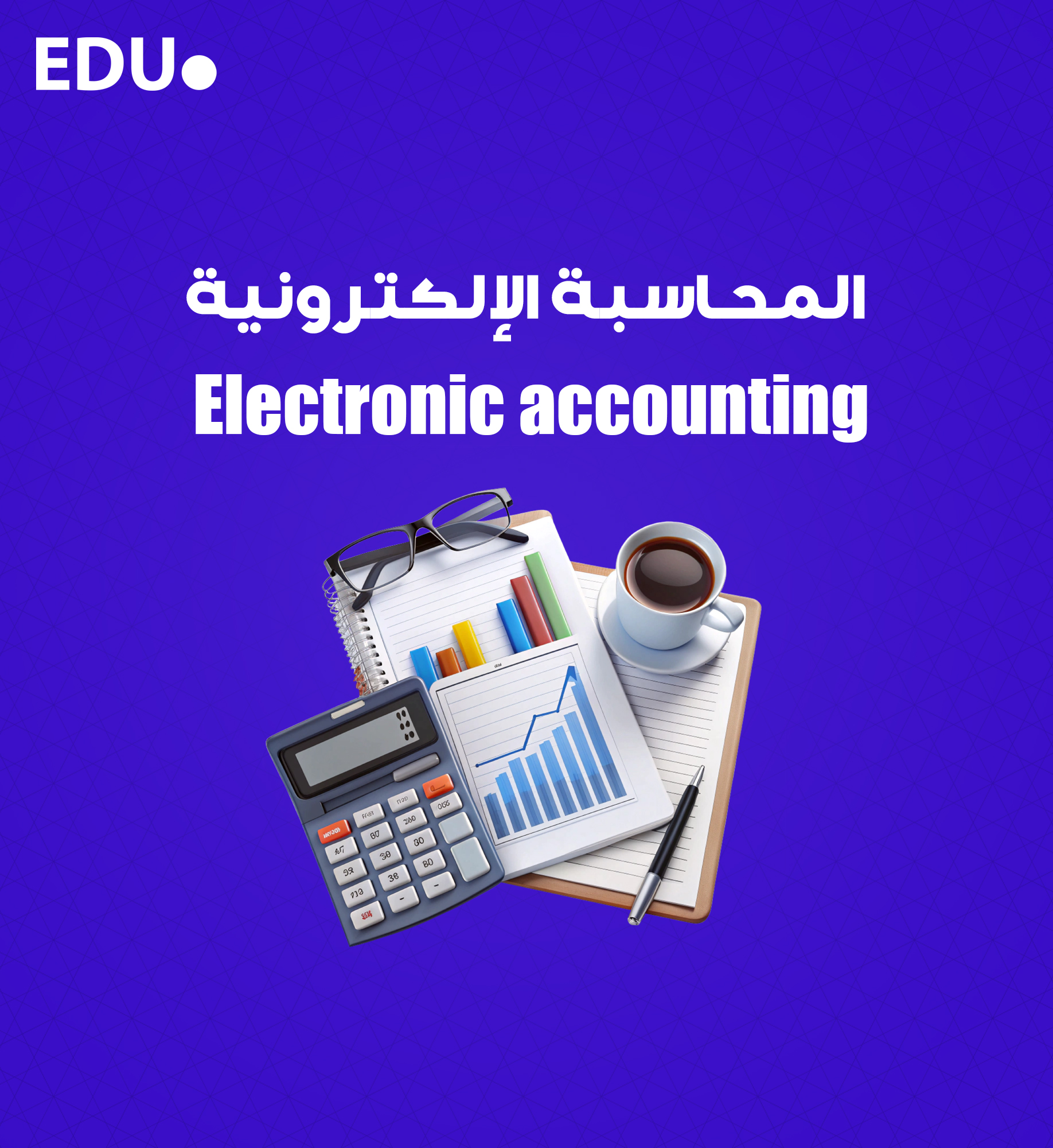 المحاسبة الإلكترونية.jpg